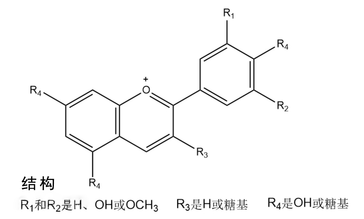 微信圖片_20250219162357.jpg